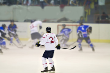 ice hockey players