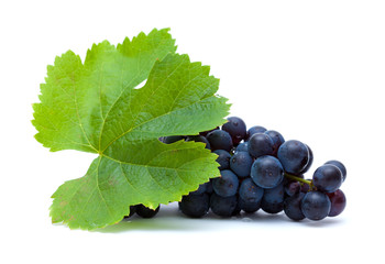 dark grapes isolated