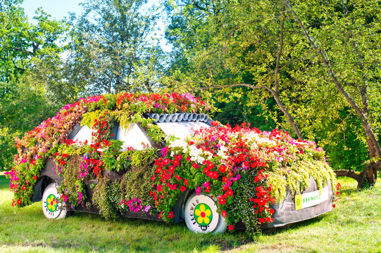Original flower-bed - car. Summertime outdoors.