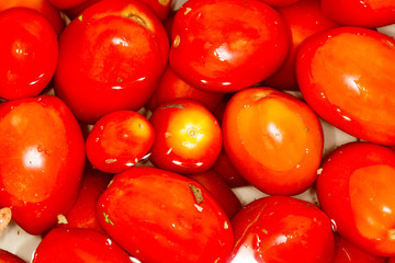 Fresh tomatoes in water