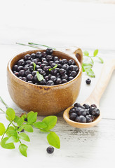 Fototapeta na wymiar blueberries in a cup