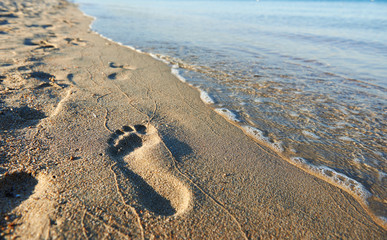 human footstep at sea beach