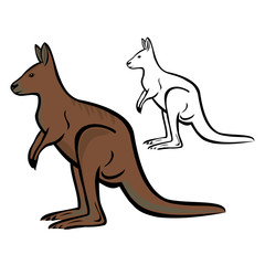 Kangaroo