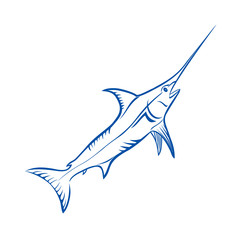 Blue Marlin fish