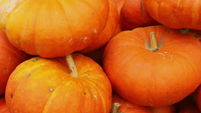 Lot of autumn pumpkin.
