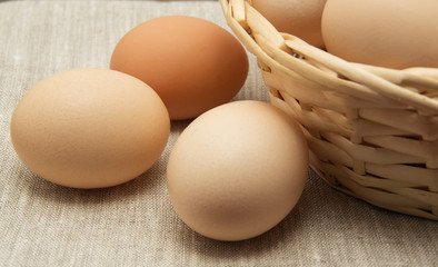 fresh brown eggs