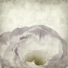 textured old paper background