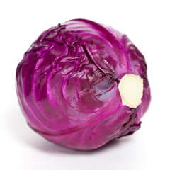 Fototapeta premium Red Cabbage