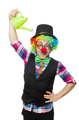 Clown isolated on the white background