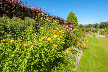 Naklejka premium Beautiful landscaped summer garden