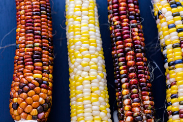 Flint corn