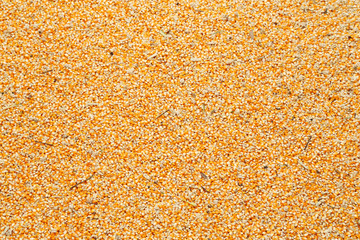 raw kernel corn beans