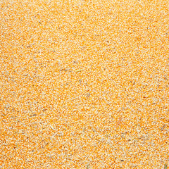 raw kernel corn beans