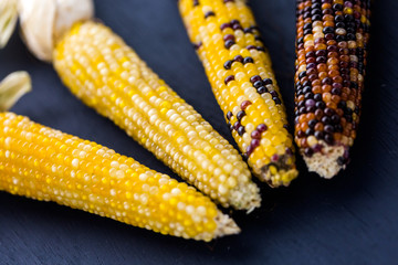 Flint corn