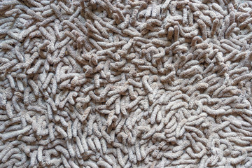 Dirty brown carpet