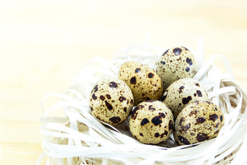 Obraz premium Quail eggs