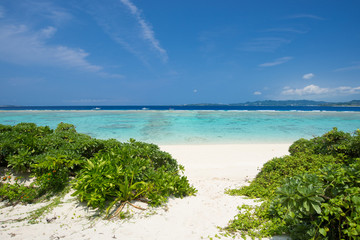 沖縄の海・水納島