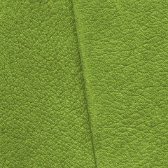 green leather texture, seam