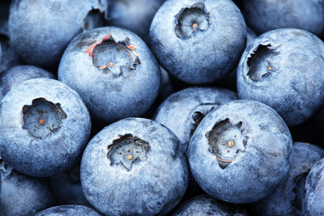 Closeup of freshly picked blueberry berries as background