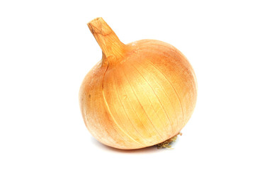 Onion