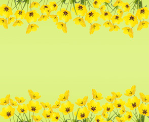 Frame of beautiful tulips on green background