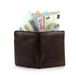 leather wallet with money