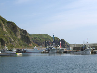 Fototapeta premium 港の漁船