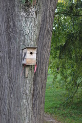 house for birds