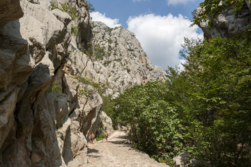 Chemin dans le canyon de Paklenica