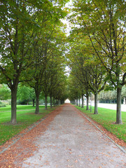 Wege im Park