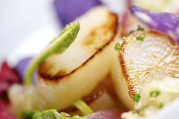 Scallop with pil pil jellyfish.