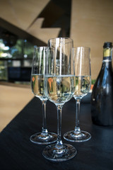 Three Glasses