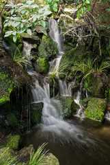 Fototapeta na wymiar Close up of pond with a small waterfall