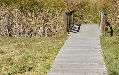 Wooden Path