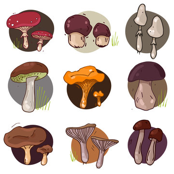 Mushroom icons set