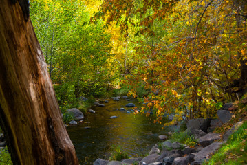 Sedona Arizona USA Fall Colors