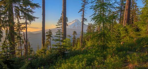 Beautiful Vista of Mount Hood in Oregon, USA.