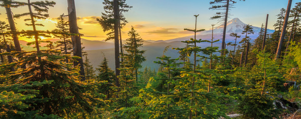 Beautiful Vista of Mount Hood in Oregon, USA. - 71088377