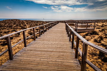 Obraz premium The way to the beach