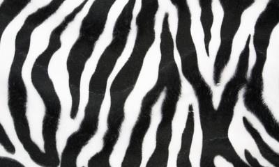 Fototapeta na wymiar Zebra texture