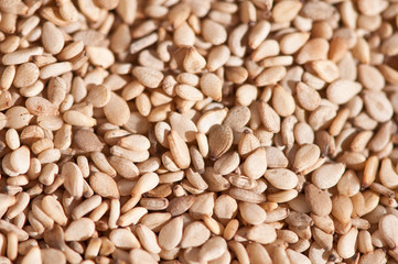 Sesame seeds close-up