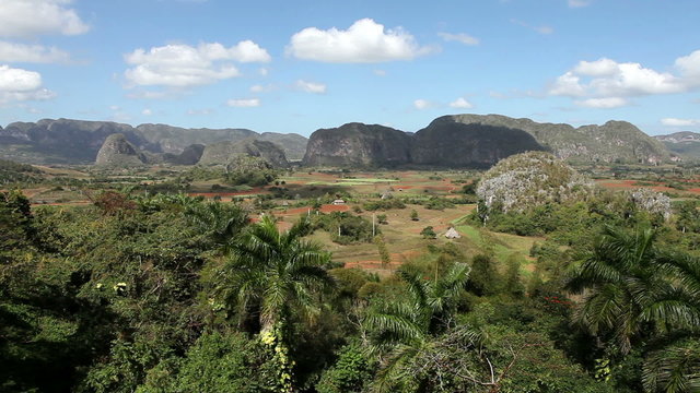 Cuba. Tropical nature of Vinales Valley.