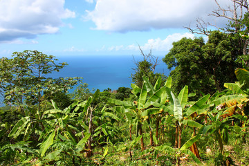 Fototapeta na wymiar Tortola British Virgin Islands