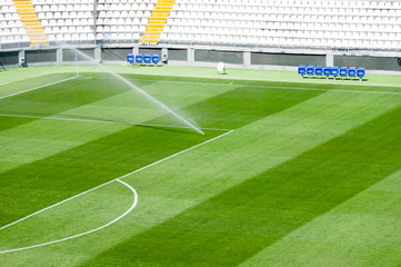 Irrigation turf