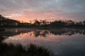 Obraz premium reflections in the lake water