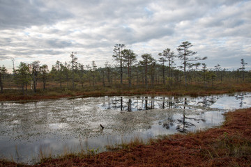 reflections in the lake water