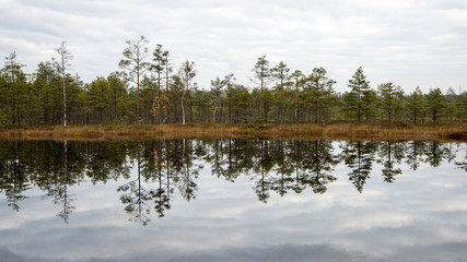 Fototapeta na wymiar reflections in the lake water