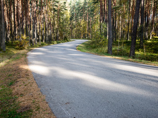Fototapeta premium Morning sun beams over autumn road