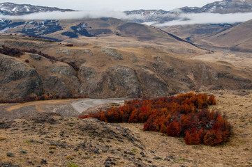 Autumn in El Chalten, Fitz Roy, Argentina