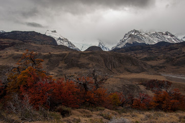 Autumn in El Chalten, Fitz Roy, Argentina